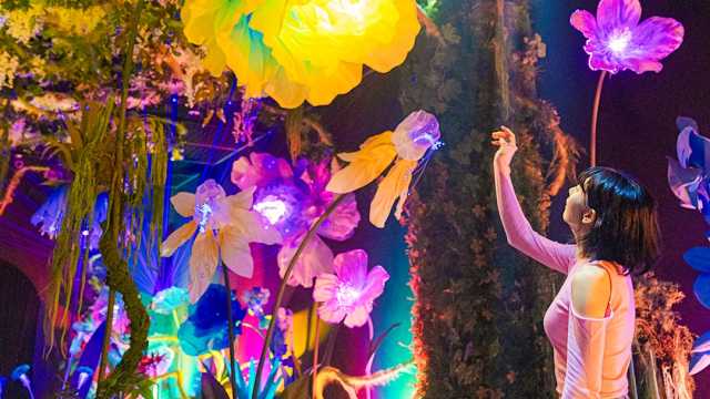 庆州宇宙度假村｜穿越星际的沉浸式媒体艺术之旅，假期必打卡！