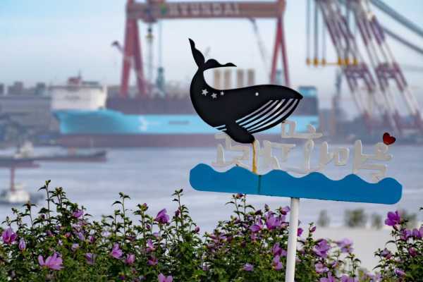 蔚山一日游，博物馆+鲸鱼村+灯塔 治愈感拉满