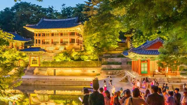 首尔昌德宫月光漫步，穿越古宫夜色！