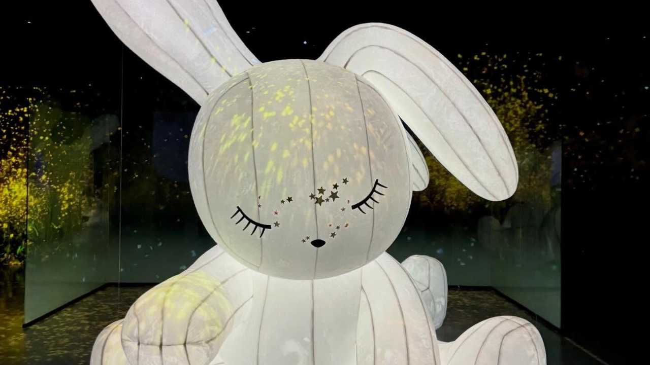 来釜山一定要打卡ARTE MUSEUM月兔限定展！