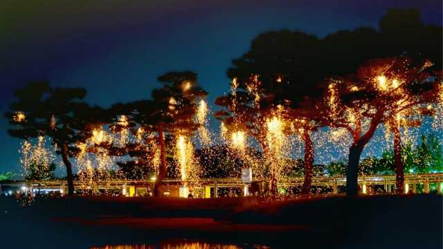 首尔周边｜2026世宗落花庆典超全攻略