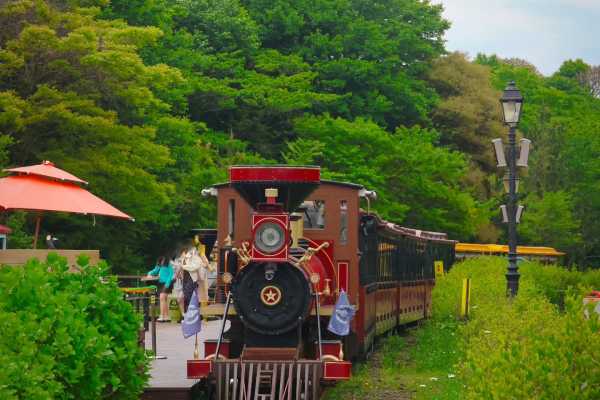 济州岛一日游攻略，森林火车与深海奇遇
