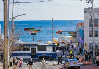 釜山绝美一日游攻略，海景胶囊小火车直达！