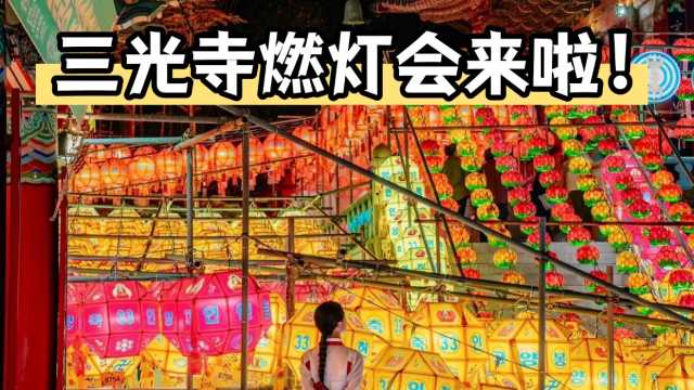 首发！2026釜山三光寺燃灯会，美到失语！