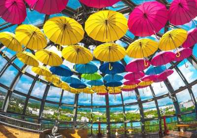 济州网红一日游，一天玩遍6大景点不绕路！