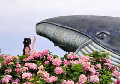 蔚山一日游攻略！博物馆+鲸鱼村+灯塔全玩遍！