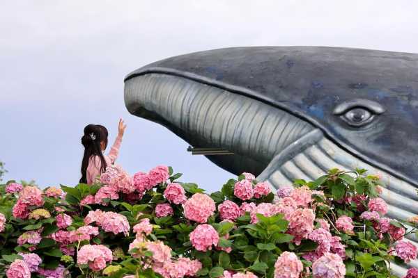 蔚山一日游攻略！博物馆+鲸鱼村+灯塔全玩遍！