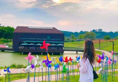 京畿道坡州DMZ一日游，探秘韩朝非武装地带