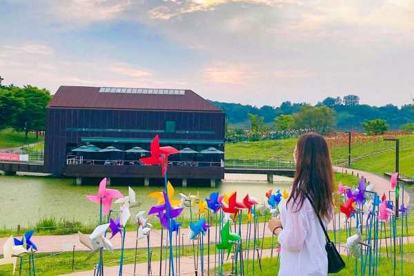 京畿道坡州DMZ一日游，探秘韩朝非武装地带