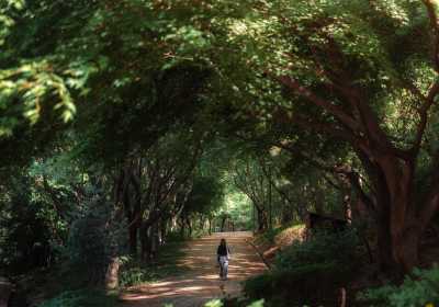 首尔治愈系一日游路线 小众松弛不赶路行程攻略