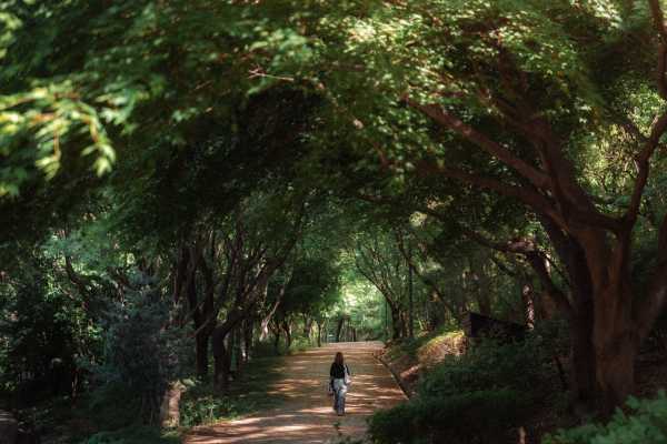 首尔治愈系一日游路线 小众松弛不赶路行程攻略