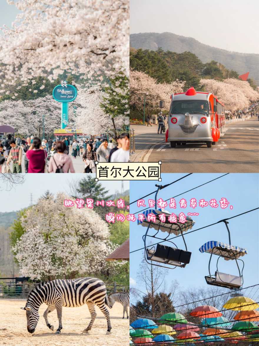 稿定设计-4 稿定设计-4