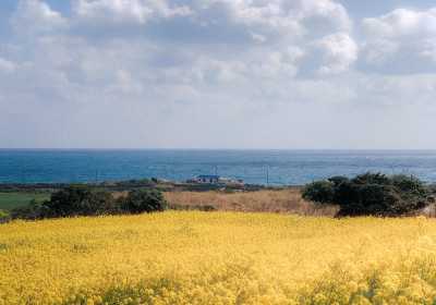 济州牛岛&城山日出峰&韩剧拍摄地一日游攻略