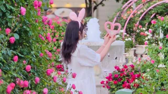 韩国「爱宝乐园玫瑰节」太浪漫了！误入童话世界！